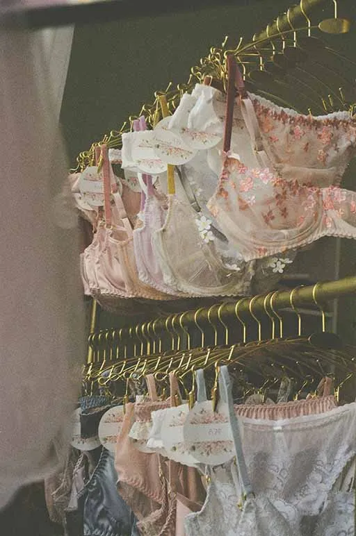 Magasins de lingerie